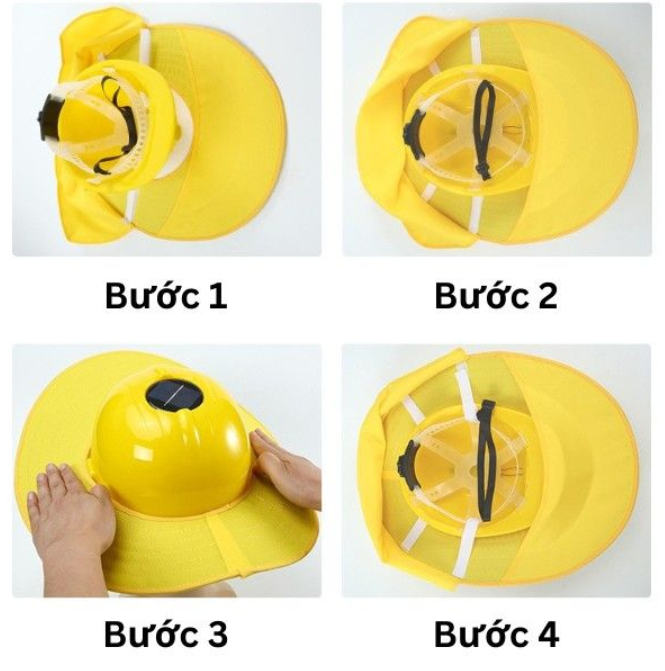 b3